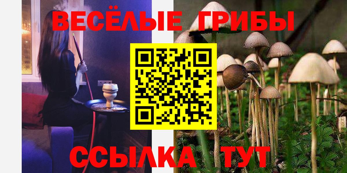 Псилоцибиновые грибы прущие грибы Карачаевск